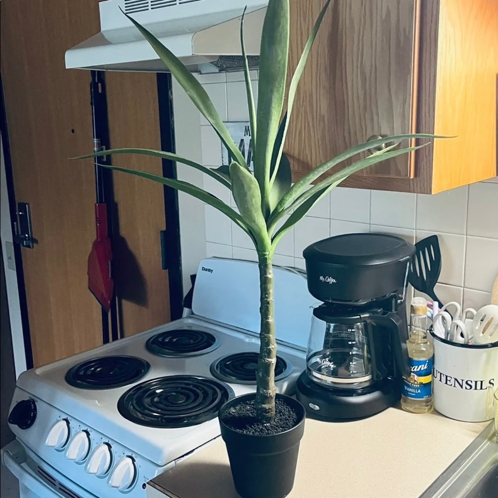 Hobby Lobby Farmhouse Home Decor Artificial Plant
